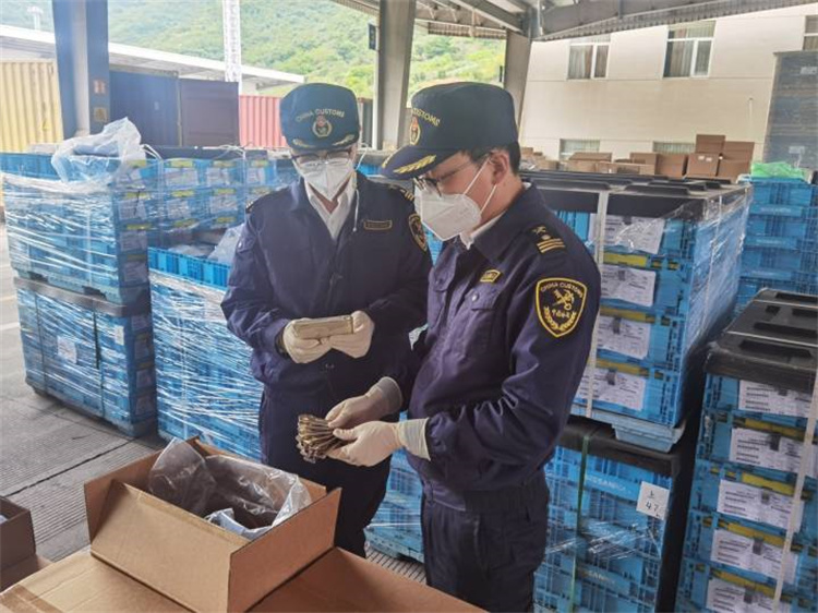Promuovere il commercio estero per garantire stabilità e migliorare la qualità Ningbo Customs ha emesso 20 misure 