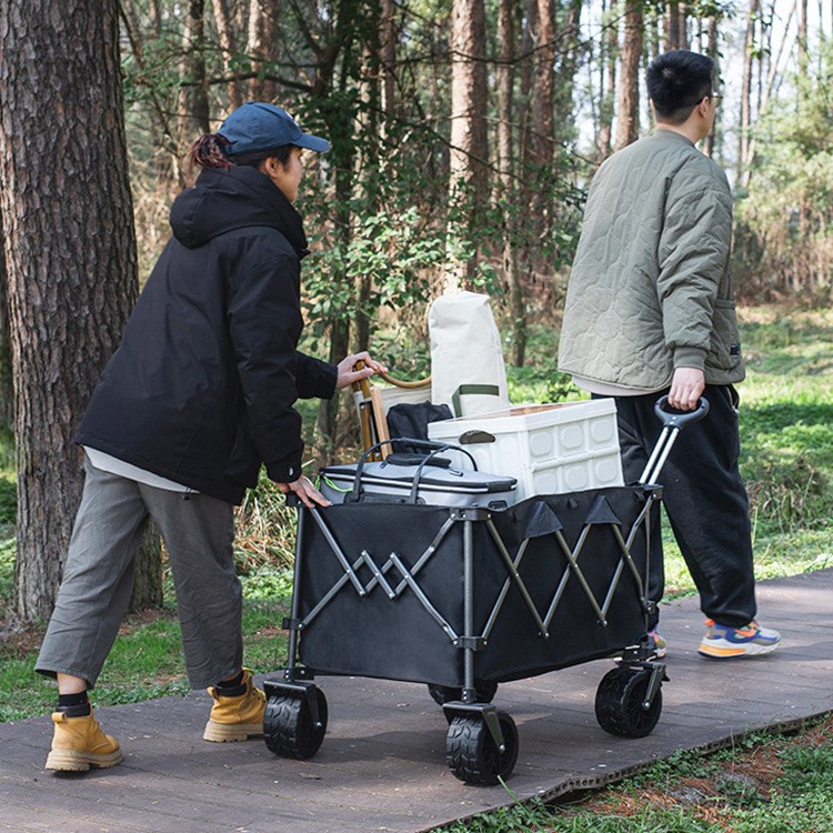 Carrello per vagoni pesanti